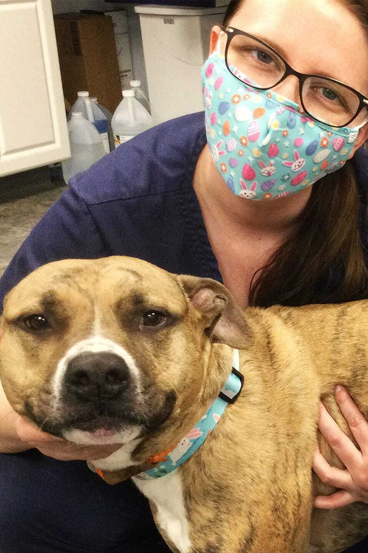 Dermatology Vet in Mechanicville Homestead Animal Hospital